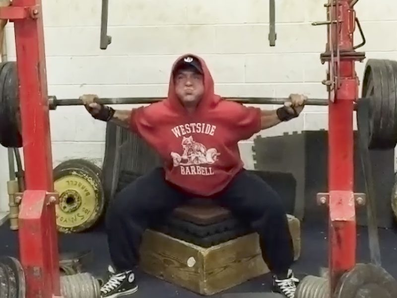 SQUATLIFE 3 Cory Gregory